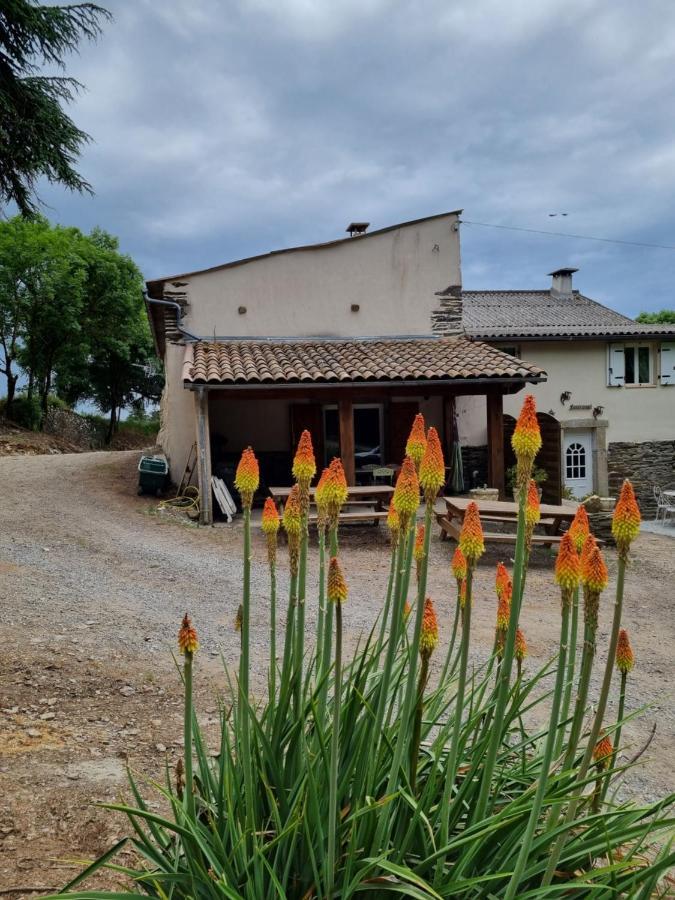 Villa l'Oeil de Carcassonne Caudebronde Esterno foto